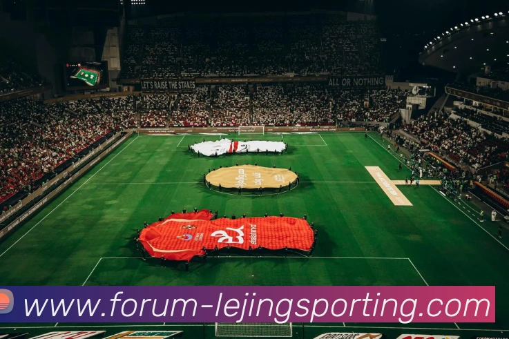 多媒体互动体验